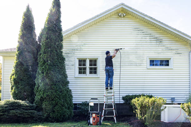 Best Gutter Cleaning  in Wilder, VT